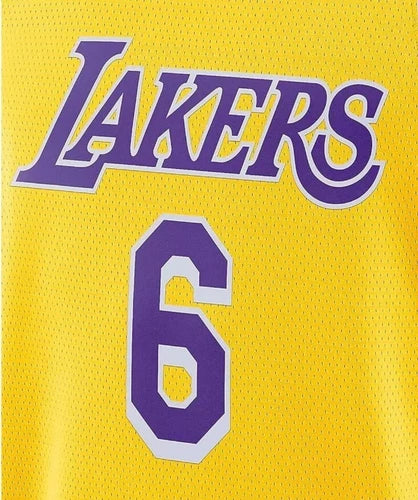 Nike LeBron James Lakers Icon Edition Jersey Yellow/Purple